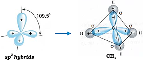 Class 11 Chemistry Chapter 4 Chemical Bonding Notes Image042