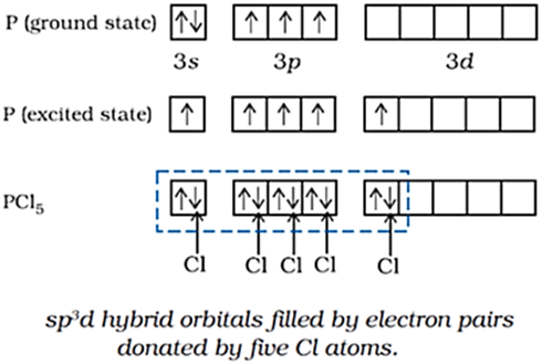 Class 11 Chemistry Chapter 4 Chemical Bonding Notes Image046