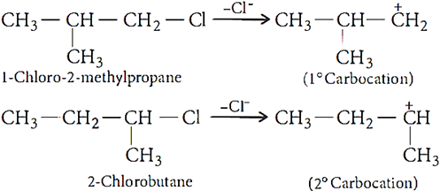Class 12 Chemistry Chapter 10 Haloalkanes and Haloarenes Important Questions Answers Part 3 Mpy Image009
