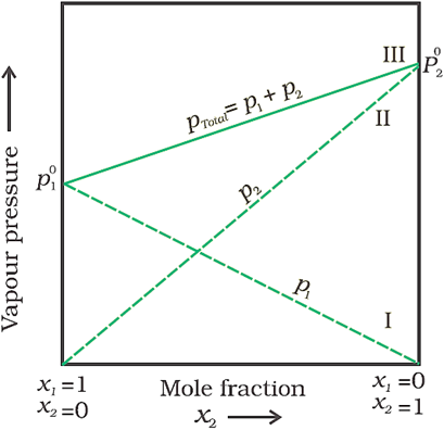 Class 12 Chemistry Chapter 2 Solutions Notes Image020
