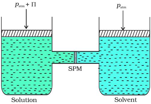 Class 12 Chemistry Chapter 2 Solutions Notes Image051