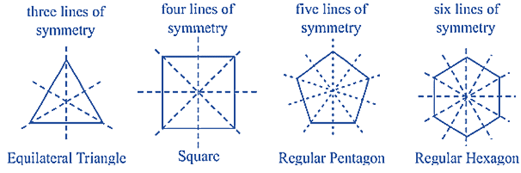 Class 6 Mathematics Chapter 13 Symmetry Chapter Notes - Examium Classes ...