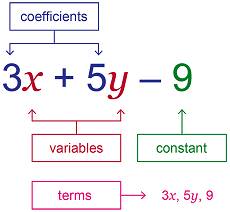 Class 7 Mathematics Chapter 12 Algebraic Expressions Notes - Examium ...