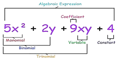 Monomials, Binomials and Polynomials
