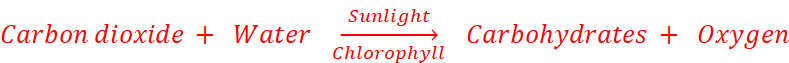 Word Equation Of Photosynthesis Class 7