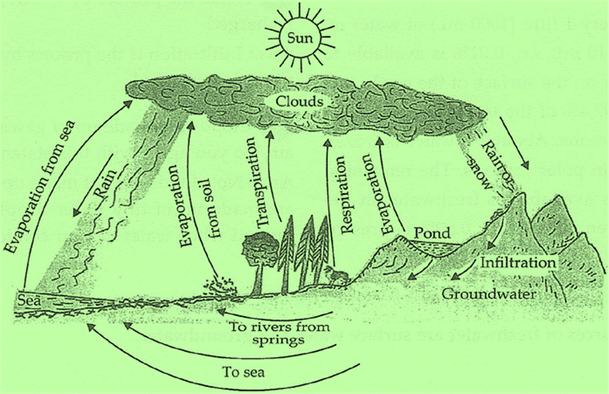 Image002