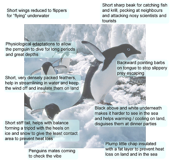 Class 7 Science Chapter 7 Weather Climate and Adaptations Notes ...