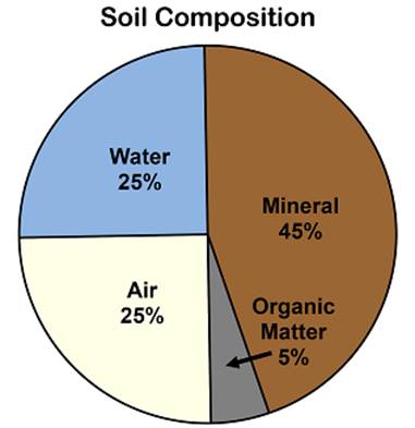 Class 7 Science Chapter 9 Soil Notes Image001