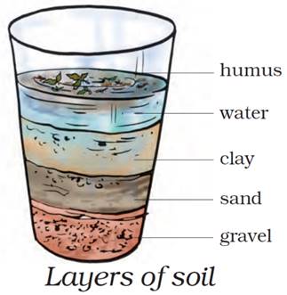 Class 7 Science Chapter 9 Soil Notes