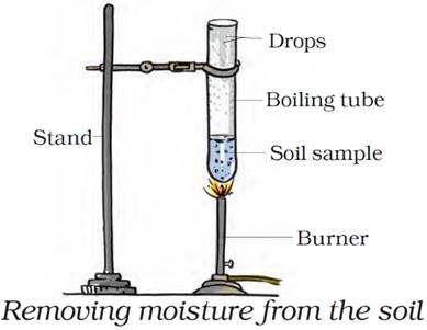 Class 7 Science Chapter 9 Soil Notes Image010