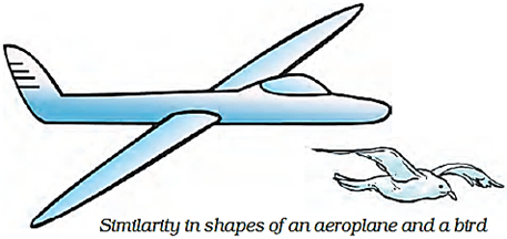Class 8 Science Chapter 12 Friction Study Notes Image008