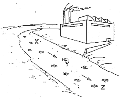Class 8 Science Chapter 18 – Pollution of Air and Water Important Questions Image001