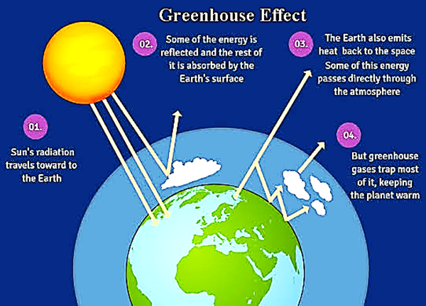Class 8 Science Chapter 18 – Pollution of Air and Water Important Questions Image003