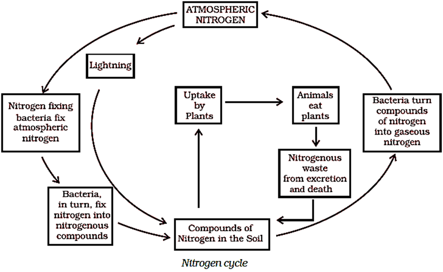 Class 8 Science Chapter 2 Microorganisms Questions Answers 2