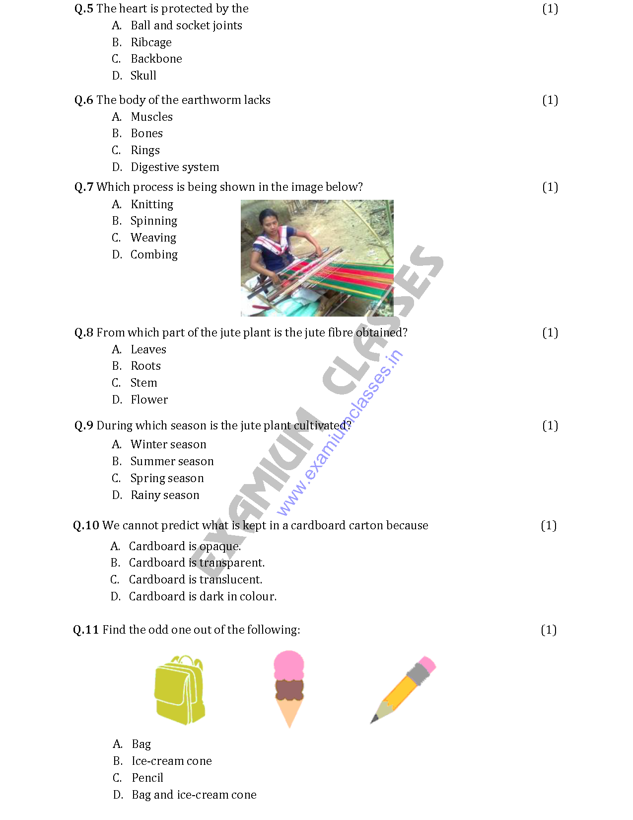 science second term paper grade 6