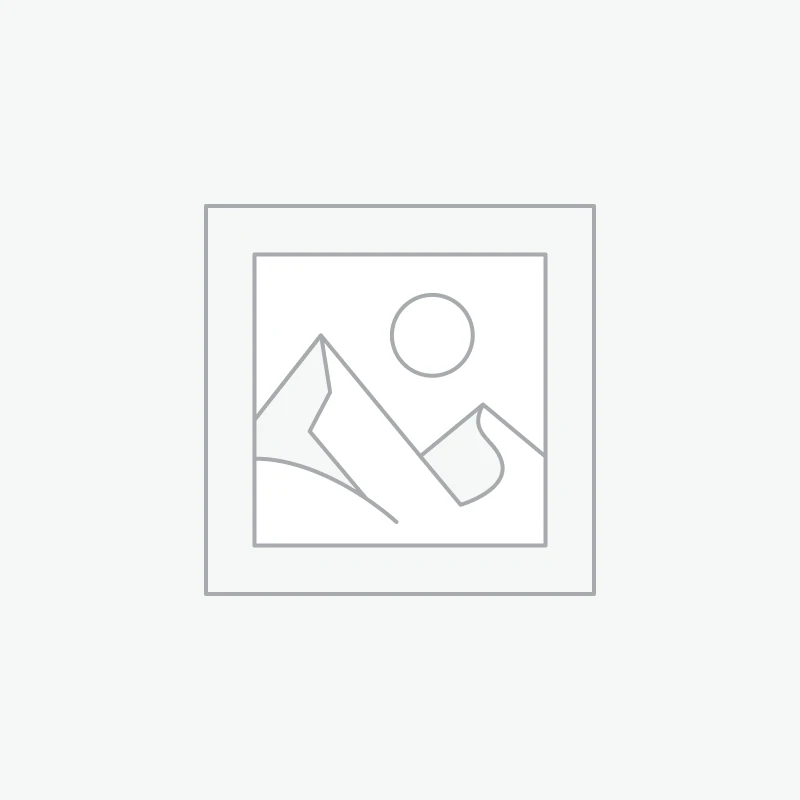 Light Brown Purse Awaiting product image