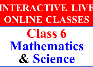 class 6 maths science online tuitions